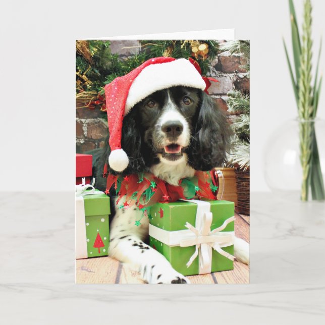 Weihnachten - englischer SpringerSpaniel - Lucy (Vorderseite)
