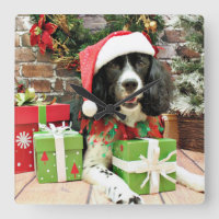 Weihnachten - englischer SpringerSpaniel - Lucy