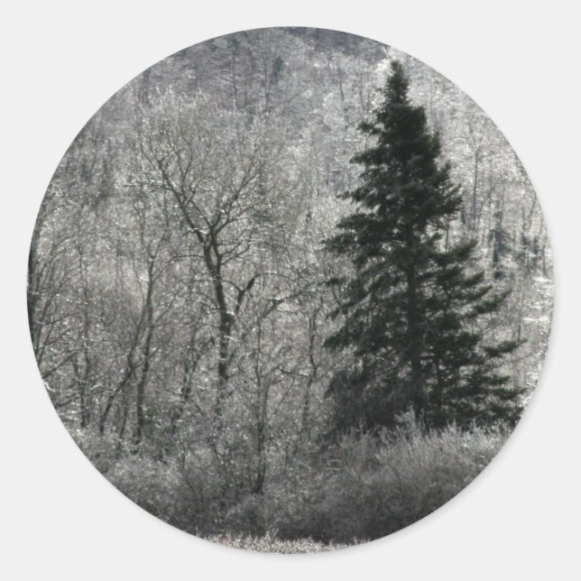 Weihnachten - Evergreen Tree Siegel Runder Aufkleber (Vorderseite)