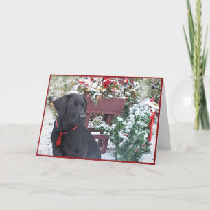 Weihnachten/Feiertag Karte ~ Labrador