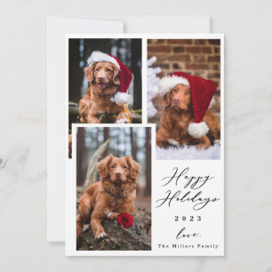 Weihnachten Funny Pet Happy Urlaub 3 Foto Urlaub
