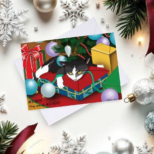 Weihnachten Geschenkkatze