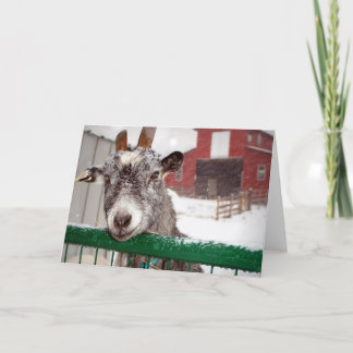 Weihnachten Goat