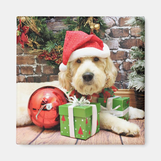 Weihnachten - Golden Doodle - Gus Magnet (Vorne)