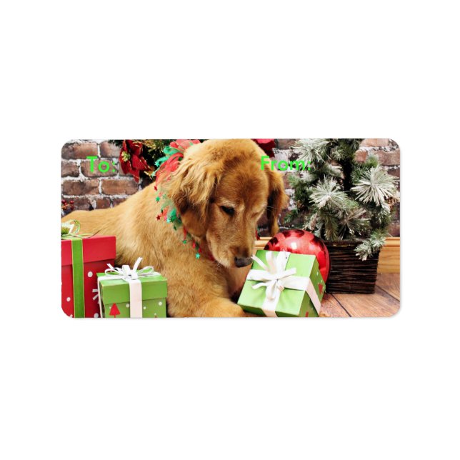 Weihnachten - Golden Retriever - Addison Adressaufkleber (Vorne)