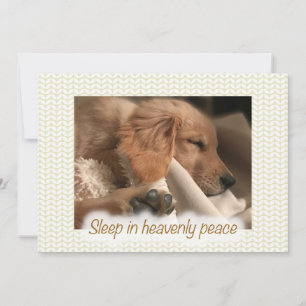 Weihnachten Golden Retriever Frieden