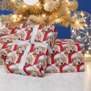 Weihnachten Golden Retriever Geschenkpapier
