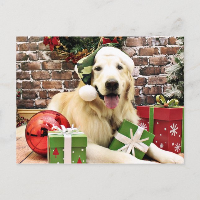 Weihnachten - Golden Retriever - Hudson (Vorderseite)