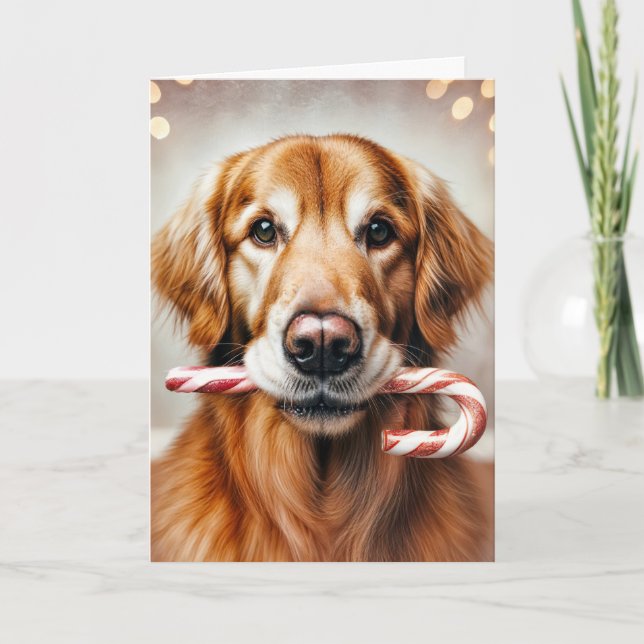 Weihnachten Golden Retriever mit Candy Cane (Vorderseite)