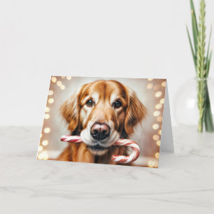 Weihnachten Golden Retriever mit Candy Cane