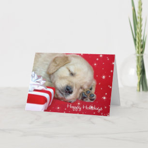 Weihnachten Golden Retriever Pup