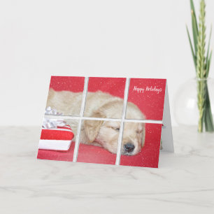 Weihnachten Golden Retriever Pup im Fenster