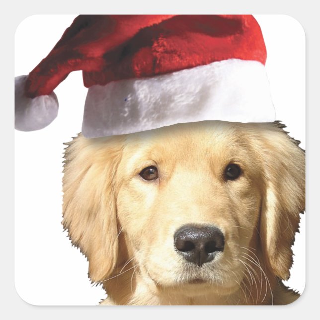 Weihnachten Golden Retriever Quadratischer Aufkleber (Vorderseite)