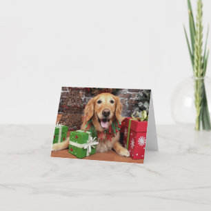 Weihnachten - Golden Retriever - Sidney