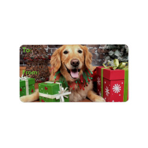 Weihnachten - Golden Retriever - Sidney Adressaufkleber