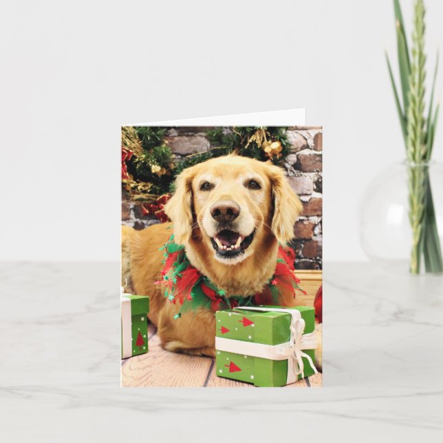 Weihnachten - Golden Retriever - Stryder (Vorderseite)