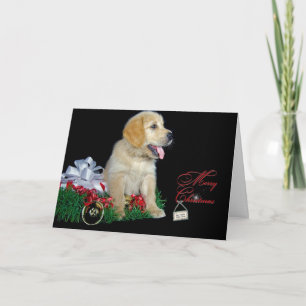 Weihnachten Golden Retriever Welpe