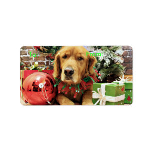 Weihnachten - golden retriever - Zoe Adressaufkleber