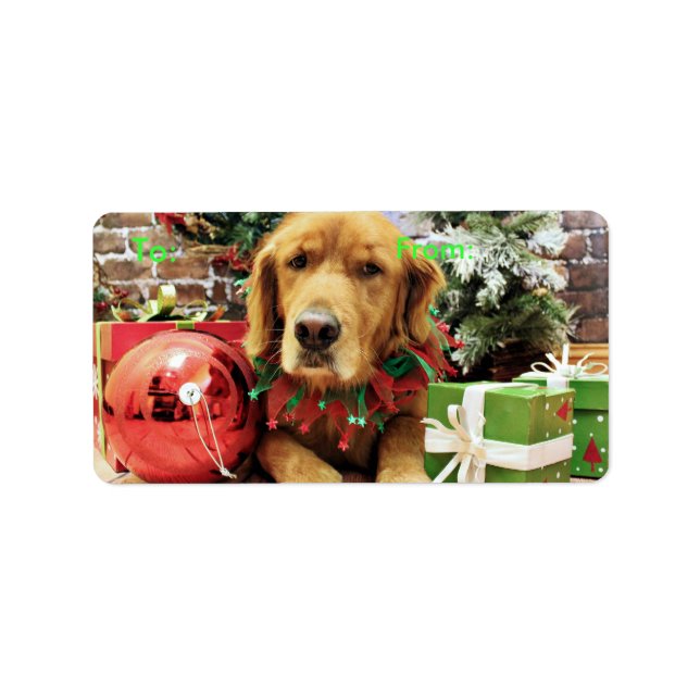 Weihnachten - Golden Retriever - Zoe Adressaufkleber (Vorne)