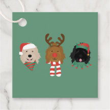 Weihnachten Goldendoodle Hunde