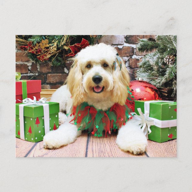 Weihnachten - GoldenDoodle - Mazey (Vorderseite)