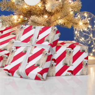 Weihnachten Goldener Retriever auf Streifen Geschenkpapier