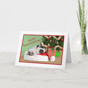 Weihnachten, Griechisch, Schlafkatze in Weihnachts Feiertagskarte
