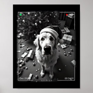 Weihnachten Große Pyrenäen auf Kamera gefangen Poster