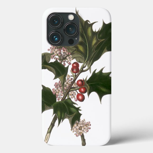 Weihnachten, Grüne Holly-Pflanze mit Berries Case-Mate iPhone Hülle (Rückseite)