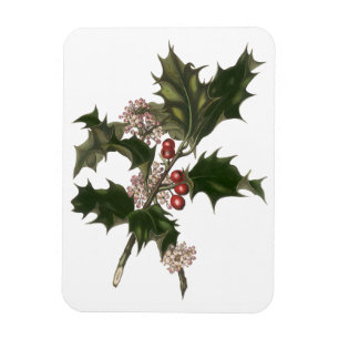 Weihnachten, Grüne Holly-Pflanze mit Berries Magnet