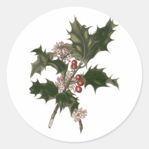 Weihnachten, Grüne Holly-Pflanze mit Berries Runder Aufkleber