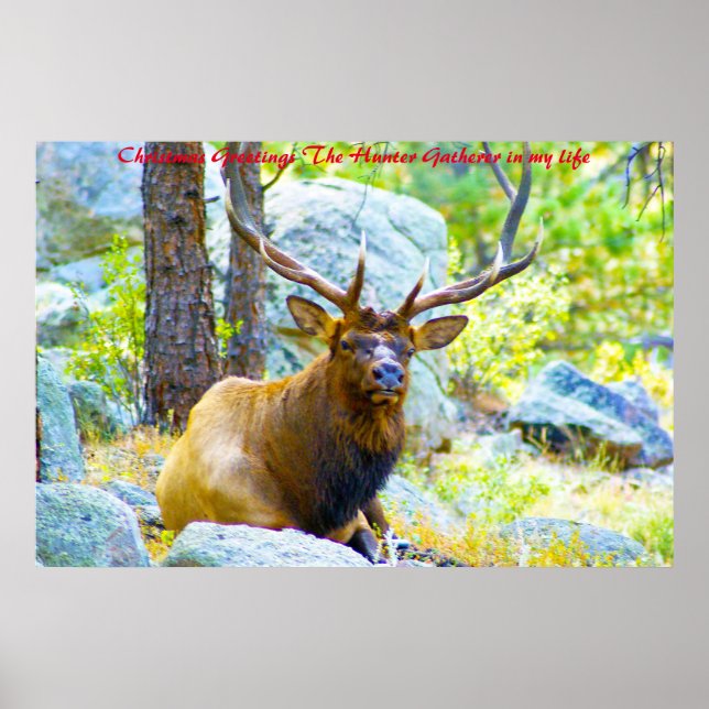 Weihnachten Grüße der Jäger Gatherer in meinem Leb Poster (Vorne)