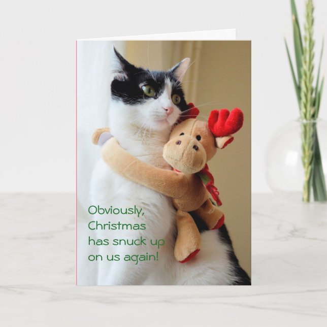 Weihnachten hat sich auf unserer Cat Grußkarte auf (Vorderseite)