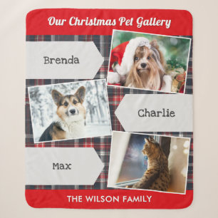 Weihnachten Haustiere 3 Foto Galerie Tartan Person Sherpadecke