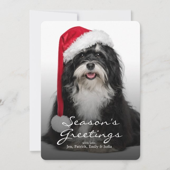 Weihnachten Havanese Hund mit Weihnachtsmannmütze (Vorderseite)