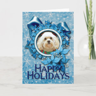 Weihnachten - Havanese - Maurer