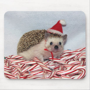 Weihnachten Hedgie Mousepad