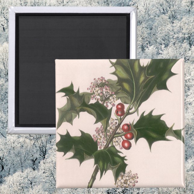 Weihnachten, Holly-Pflanze mit Roten Berries Magnet (Von Creator hochgeladen)
