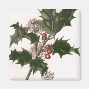 Weihnachten, Holly-Pflanze mit Roten Berries Magnet