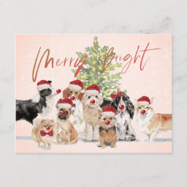 Weihnachten Hund liebt Freude Weihnachtsmannmütze Postkarte