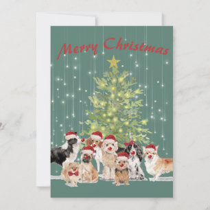 Weihnachten Hund liebt Grüne Weihnachtsmannmütze