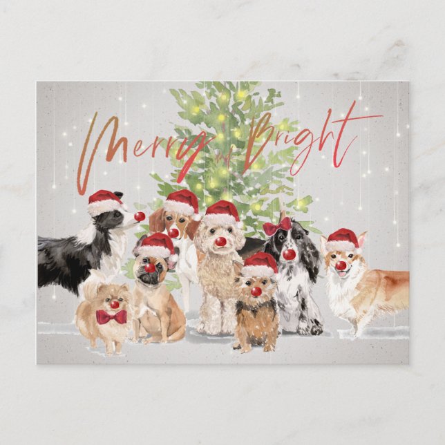 Weihnachten Hund liebt Merry Bright Santa Postkarte (Vorderseite)