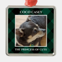 Weihnachten Ihr Haustier Foto Buffalo Kariert