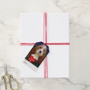 Weihnachten im Petit Basset Geschenkanhänger