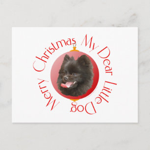 Weihnachten im Pomeranian