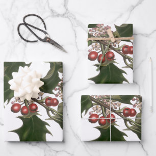 Weihnachten im Vintage-Stil, grüne Stechpalmenpfla Geschenkpapier Set