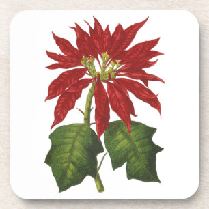 Weihnachten im Vintage-Stil, Winter-Poinsettie in  Untersetzer