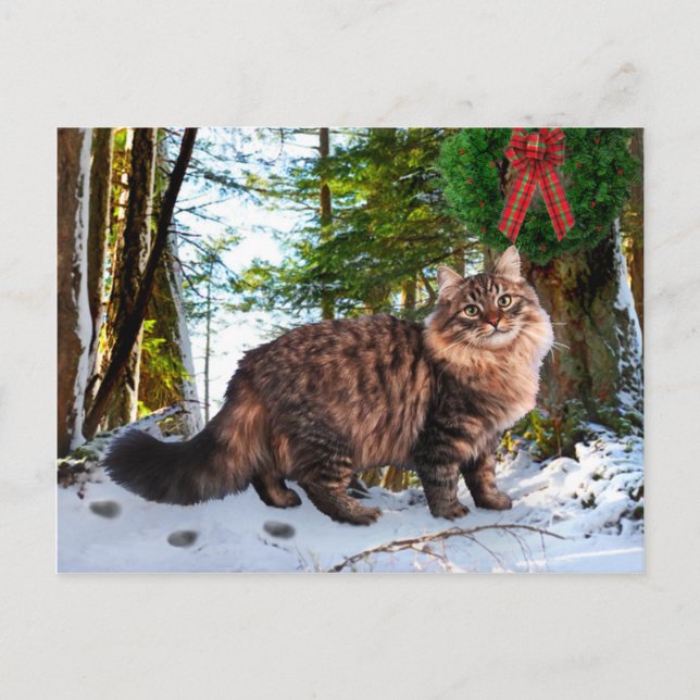 "Weihnachten im Wald" Postkarte (Vorderseite)