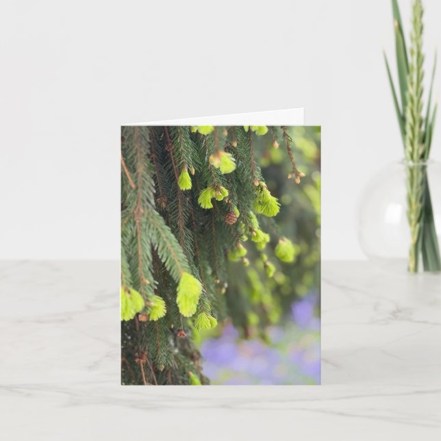 Weihnachten Immergrüner Kiefernbaum Schnee Winter Karte (Vorderseite)