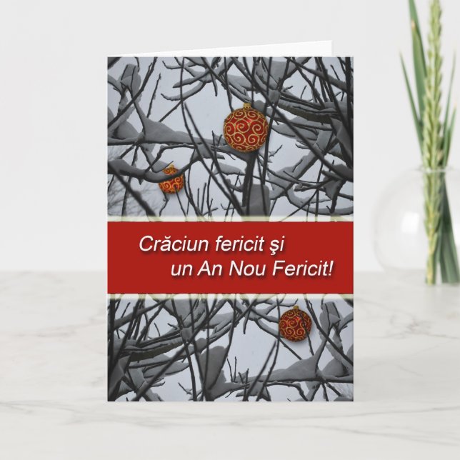 Weihnachten in Rumänien, Schnee (Vorderseite)